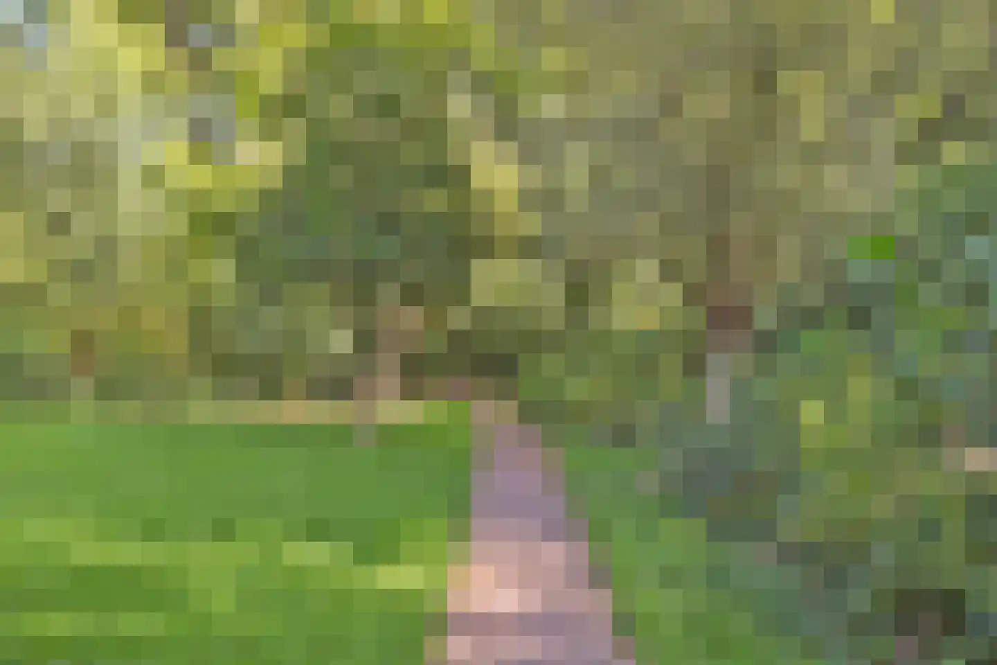 Ida Hoeve 4 Gouda thumbnail 33