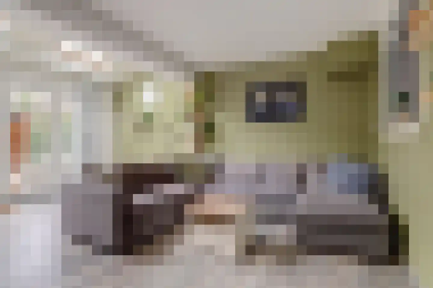 Ida Hoeve 4 Gouda thumbnail 5