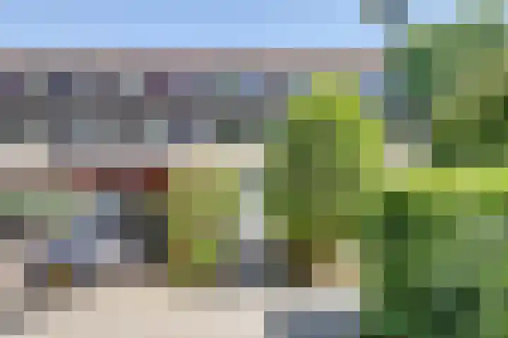 Ida Hoeve 41 in Gouda