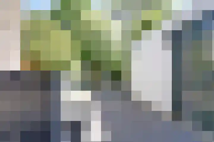 Ida Hoeve 41 Gouda thumbnail 25