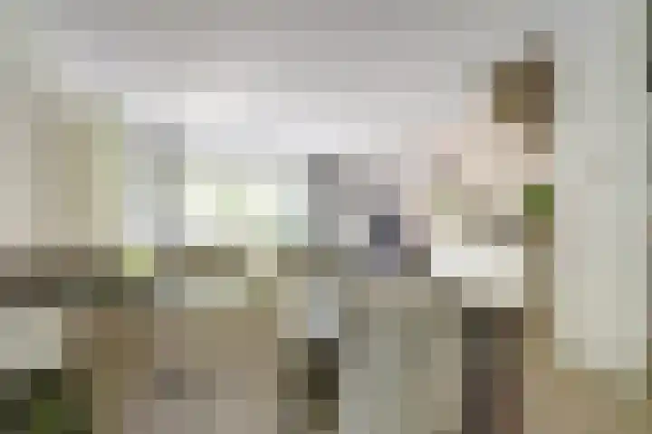 Ida Hoeve 41 Gouda thumbnail 4