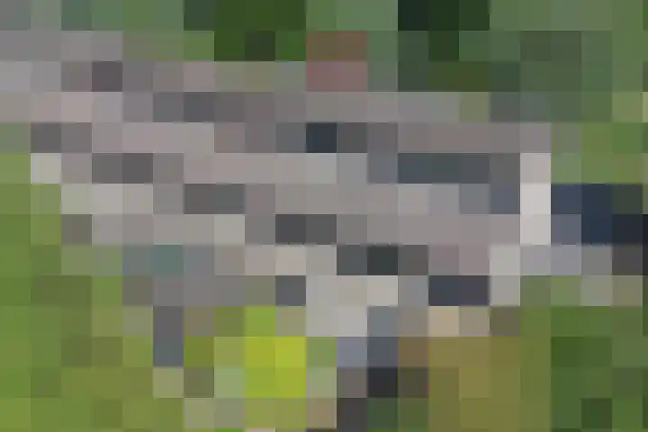 Ida Hoeve 41 Gouda thumbnail 5