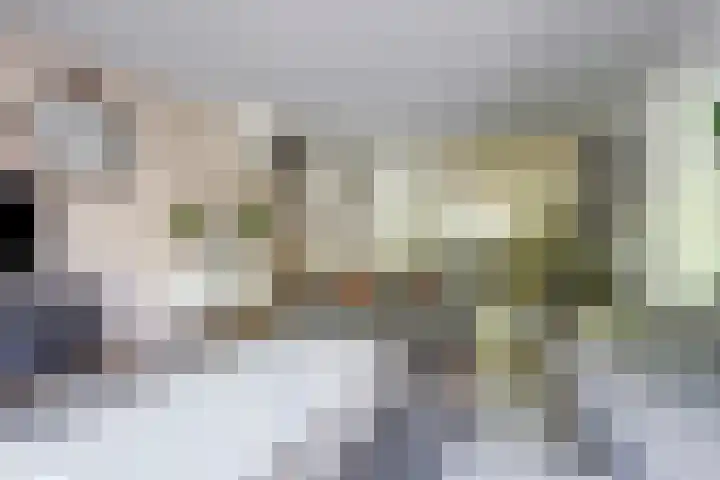 Ida Hoeve 41 Gouda thumbnail 7