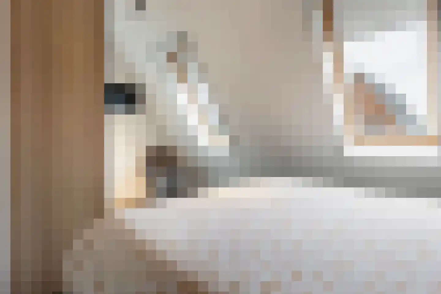 Ida Pluckroosweg 30 Oene thumbnail 13
