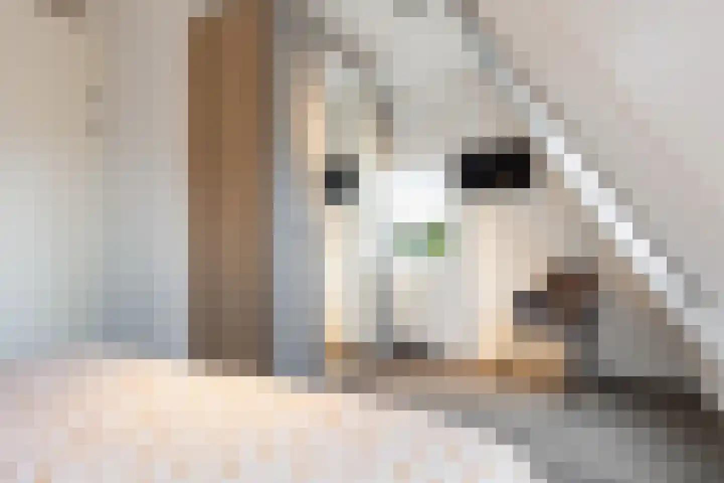 Ida Pluckroosweg 30 Oene thumbnail 14