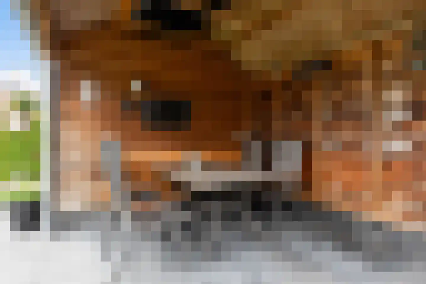 Ida Pluckroosweg 30 Oene thumbnail 25