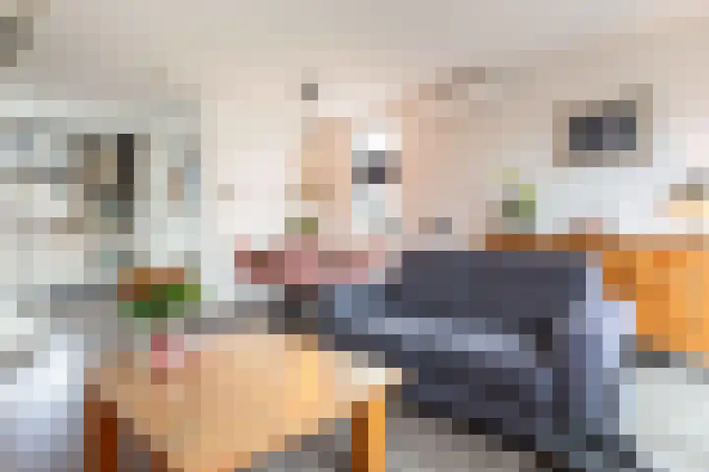 Ida Pluckroosweg 30 Oene thumbnail 4