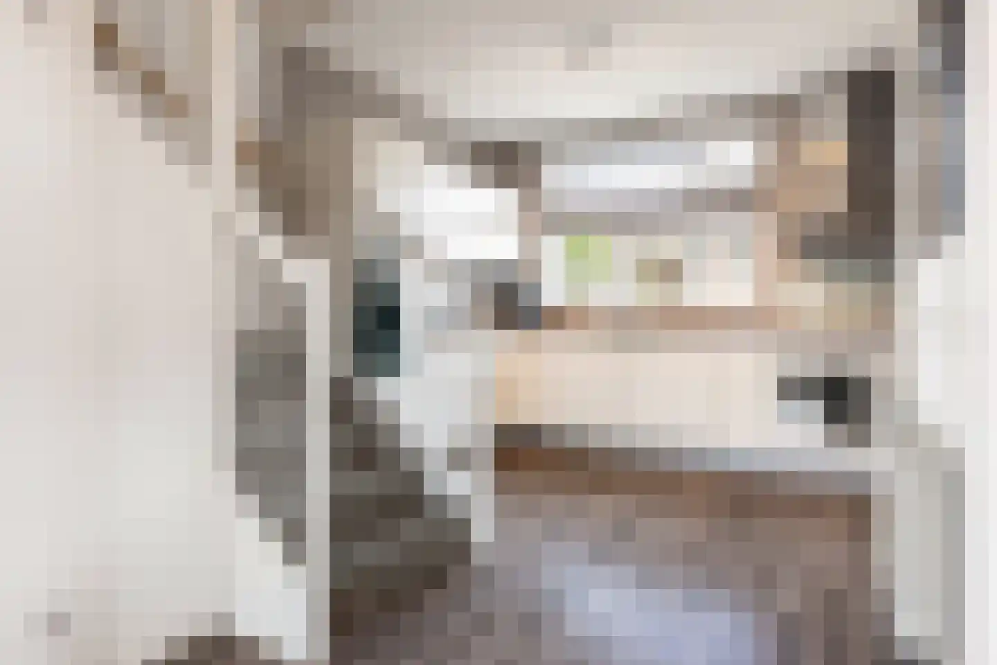 Ida Pluckroosweg 30 Oene thumbnail 6