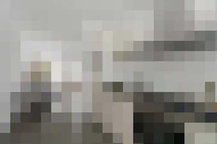 Idéfixstraat 15 Almere thumbnail 11