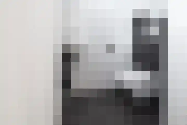 Idéfixstraat 15 Almere thumbnail 29