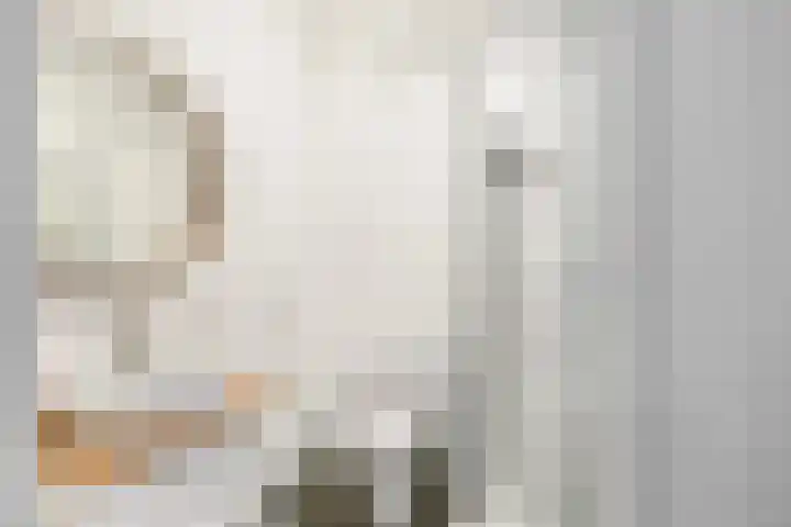 Idéfixstraat 15 Almere thumbnail 5