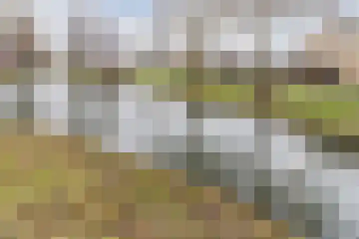 Idenburgplein 12 Zwijndrecht thumbnail 28