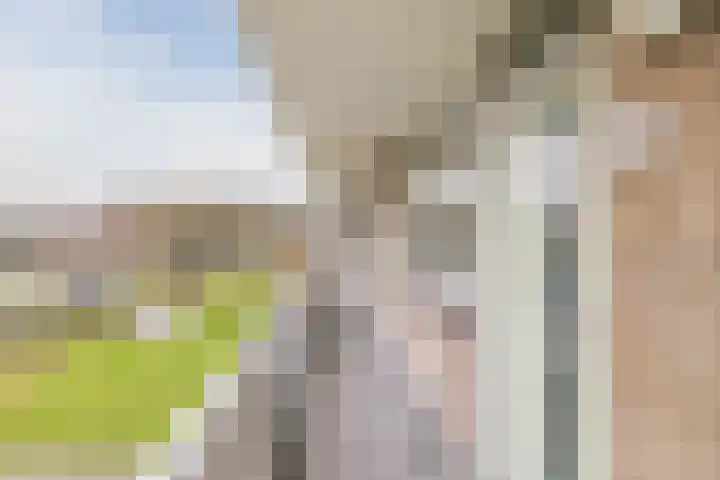Idenburgplein 12 Zwijndrecht thumbnail 8