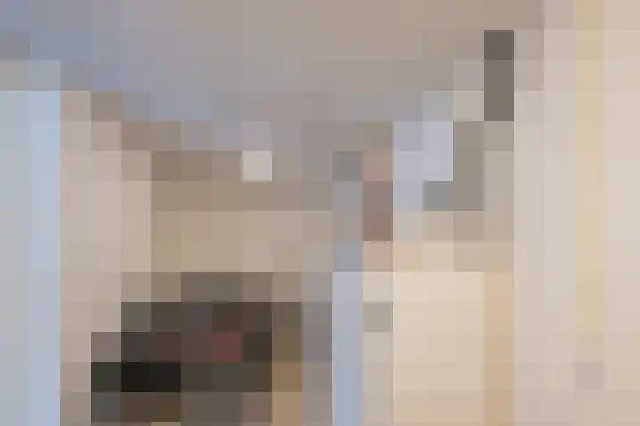 Idenburgstraat 12 Utrecht thumbnail 33