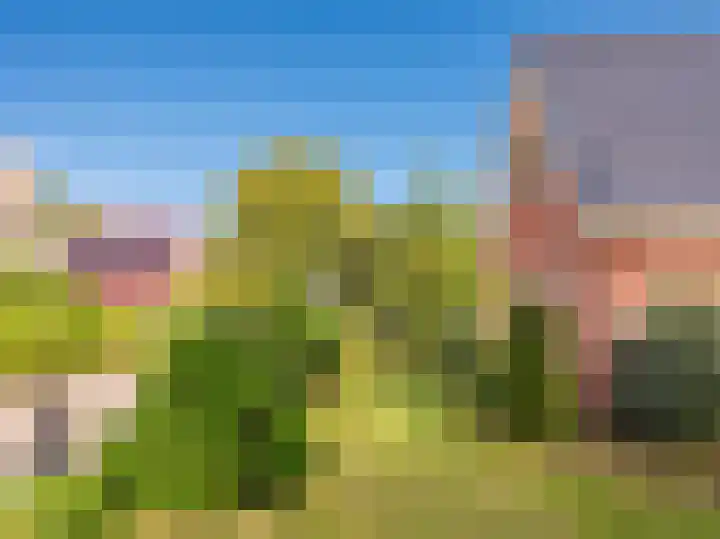 Idenslaan 2 Schoorl thumbnail 31