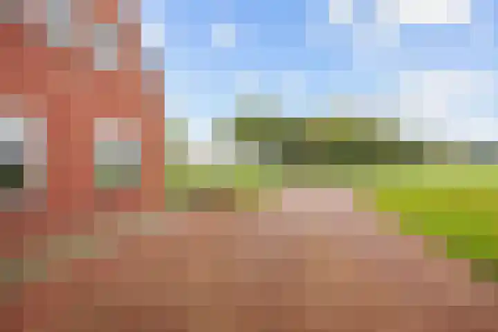 Ideweersterweg 5 Meedhuizen thumbnail 12