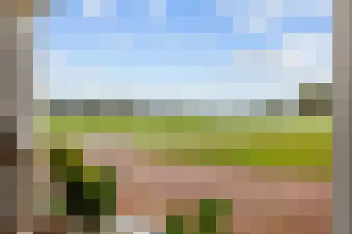 Ideweersterweg 5 Meedhuizen thumbnail 22