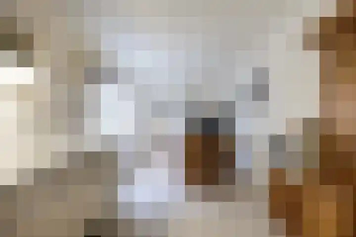 Ideweersterweg 5 Meedhuizen thumbnail 28