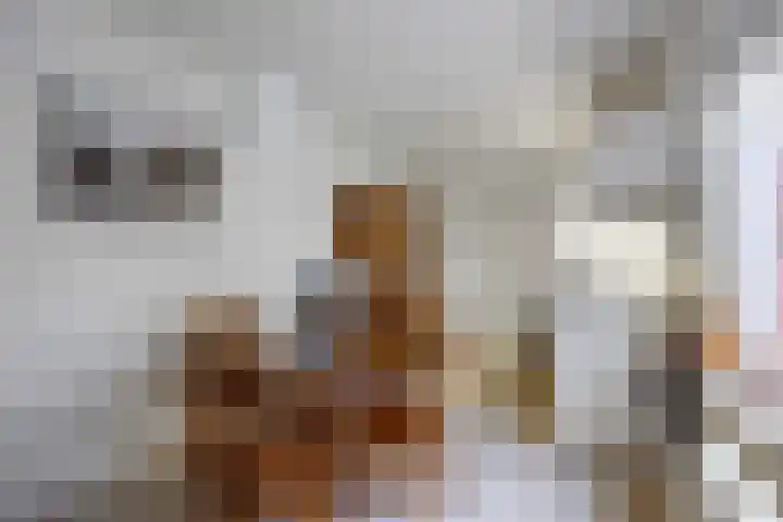 Ideweersterweg 5 Meedhuizen thumbnail 30