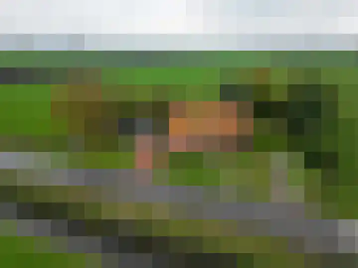 Ideweersterweg 5 Meedhuizen thumbnail 4