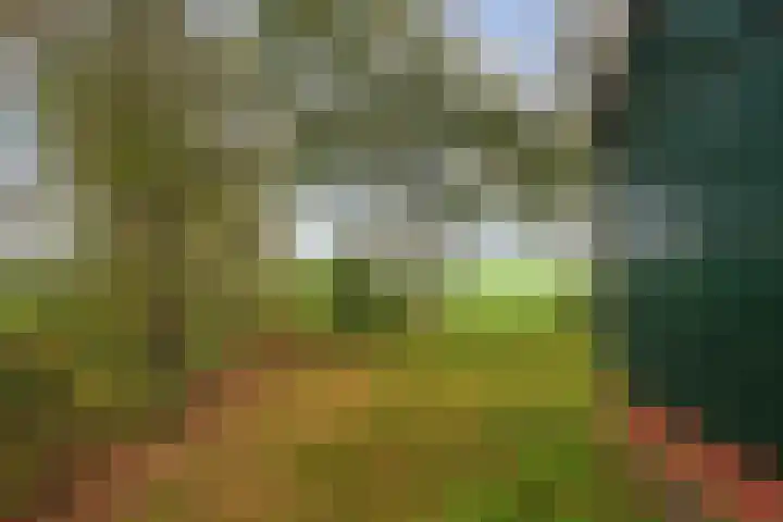 Ideweersterweg 5 Meedhuizen thumbnail 43
