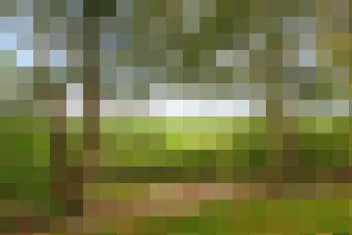 Ideweersterweg 5 Meedhuizen thumbnail 44