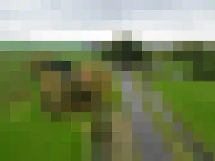 Ideweersterweg 5 Meedhuizen thumbnail 5