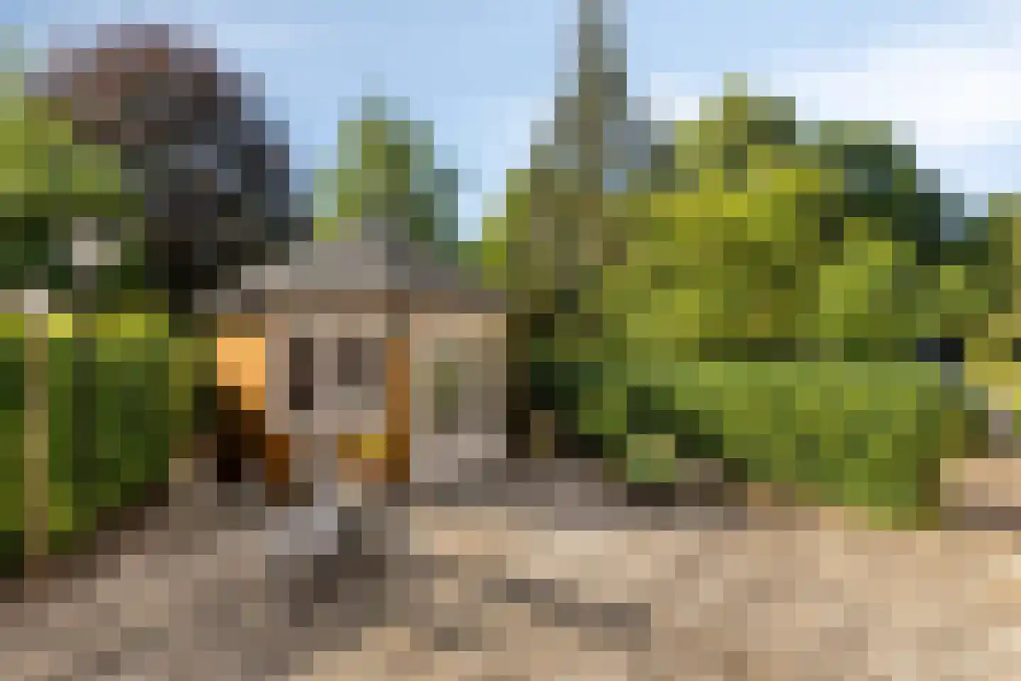 Idinkweg 2 A Varsseveld thumbnail 20