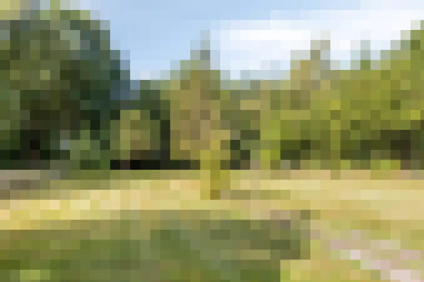 Idinkweg 2 A Varsseveld thumbnail 22