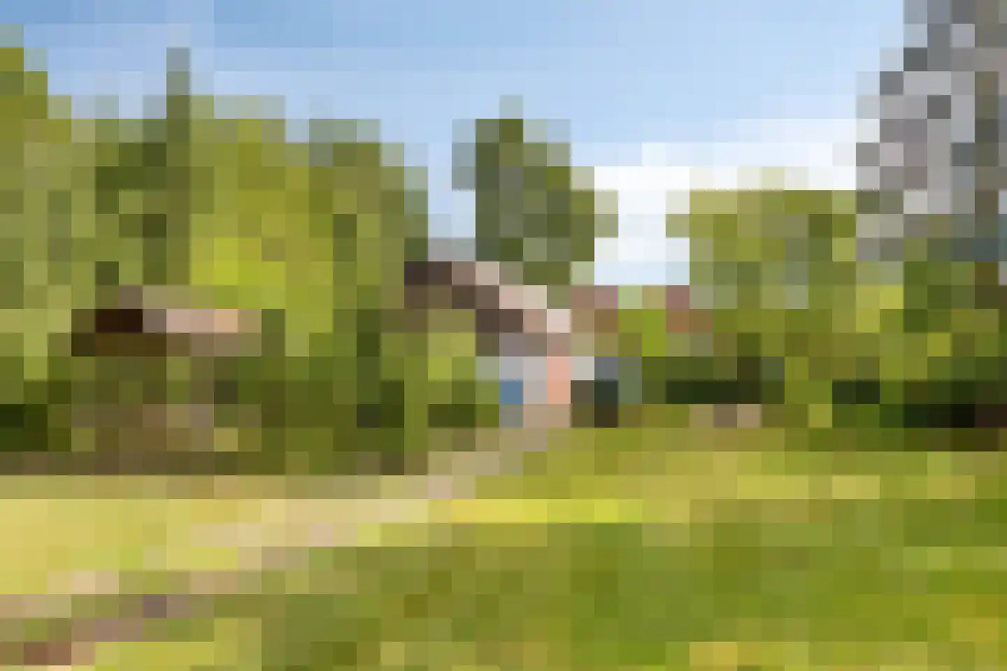 Idinkweg 2 A Varsseveld thumbnail 23