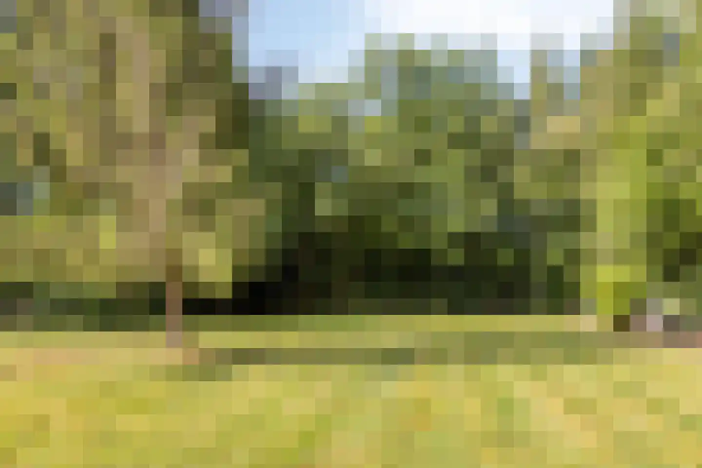 Idinkweg 2 A Varsseveld thumbnail 24