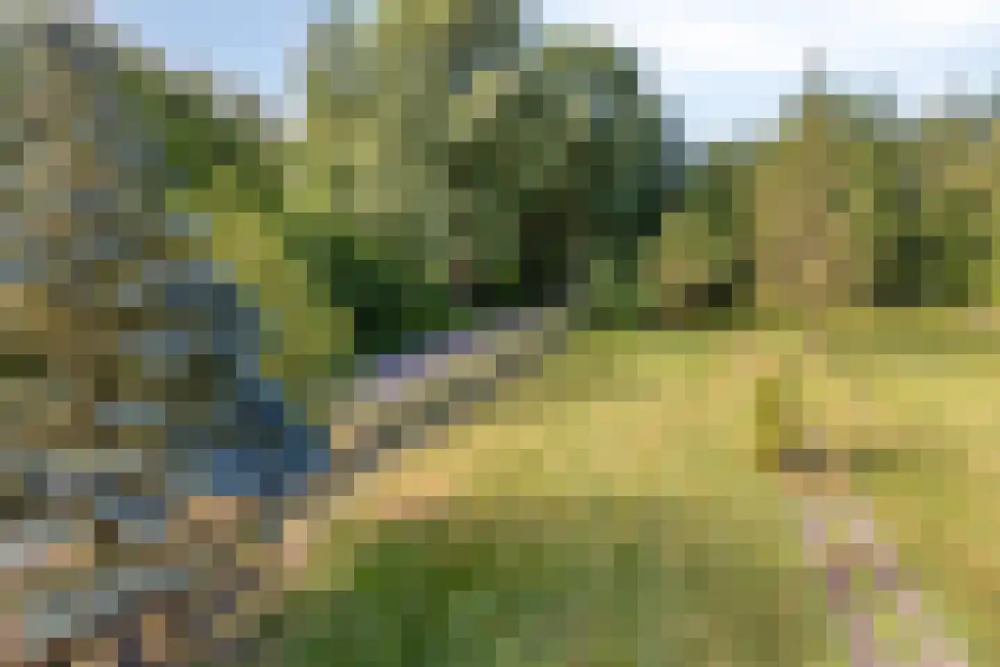 Idinkweg 2 A Varsseveld thumbnail 25