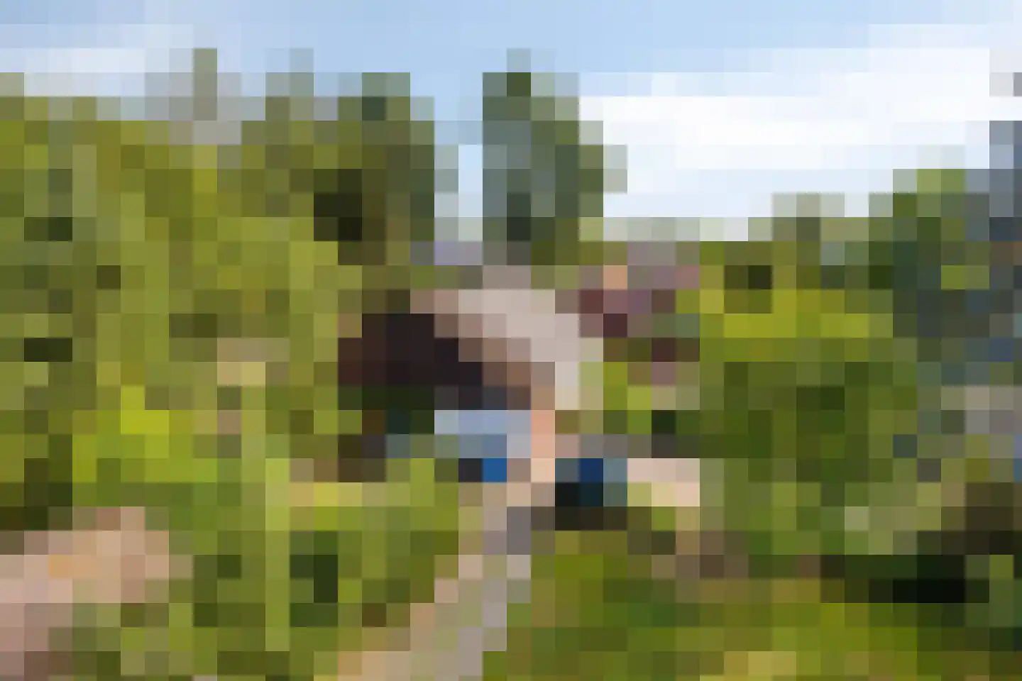 Idinkweg 2 A Varsseveld thumbnail 26