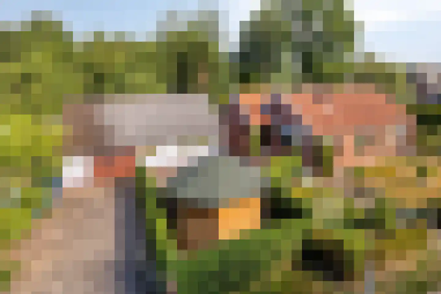Idinkweg 2 A Varsseveld thumbnail 6