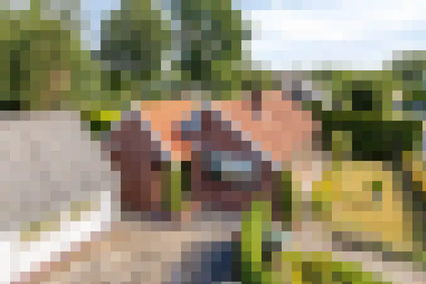 Idinkweg 2 A Varsseveld thumbnail 8