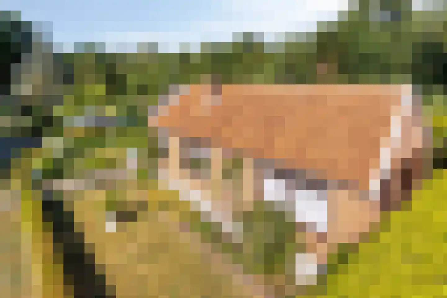Idinkweg 2 A Varsseveld thumbnail 9