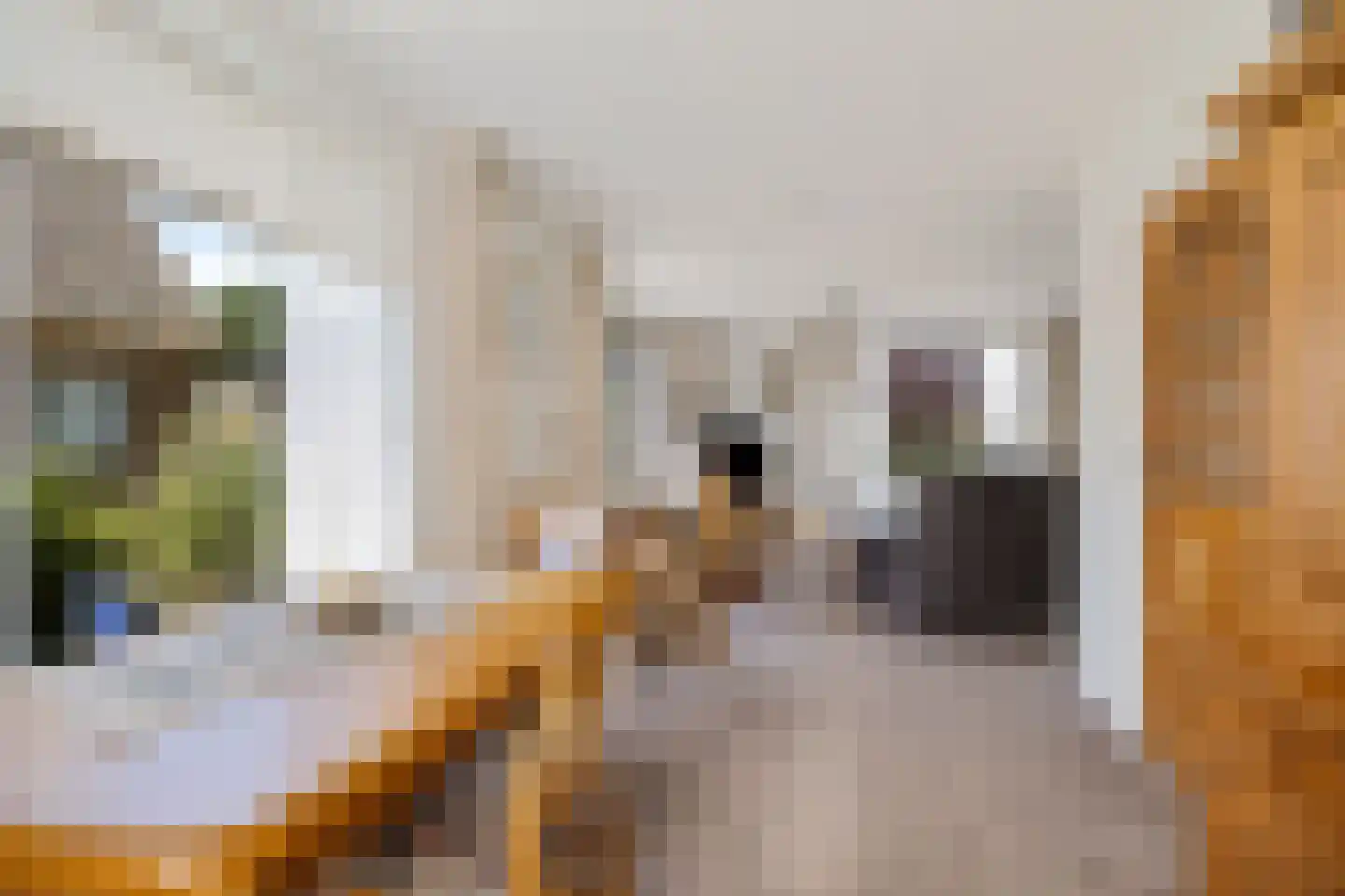 Ids de Beerstrjitte 1 Nes thumbnail 10