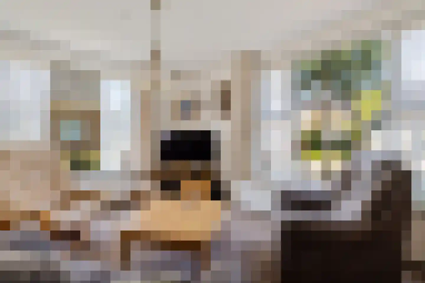 Ids de Beerstrjitte 1 Nes thumbnail 7