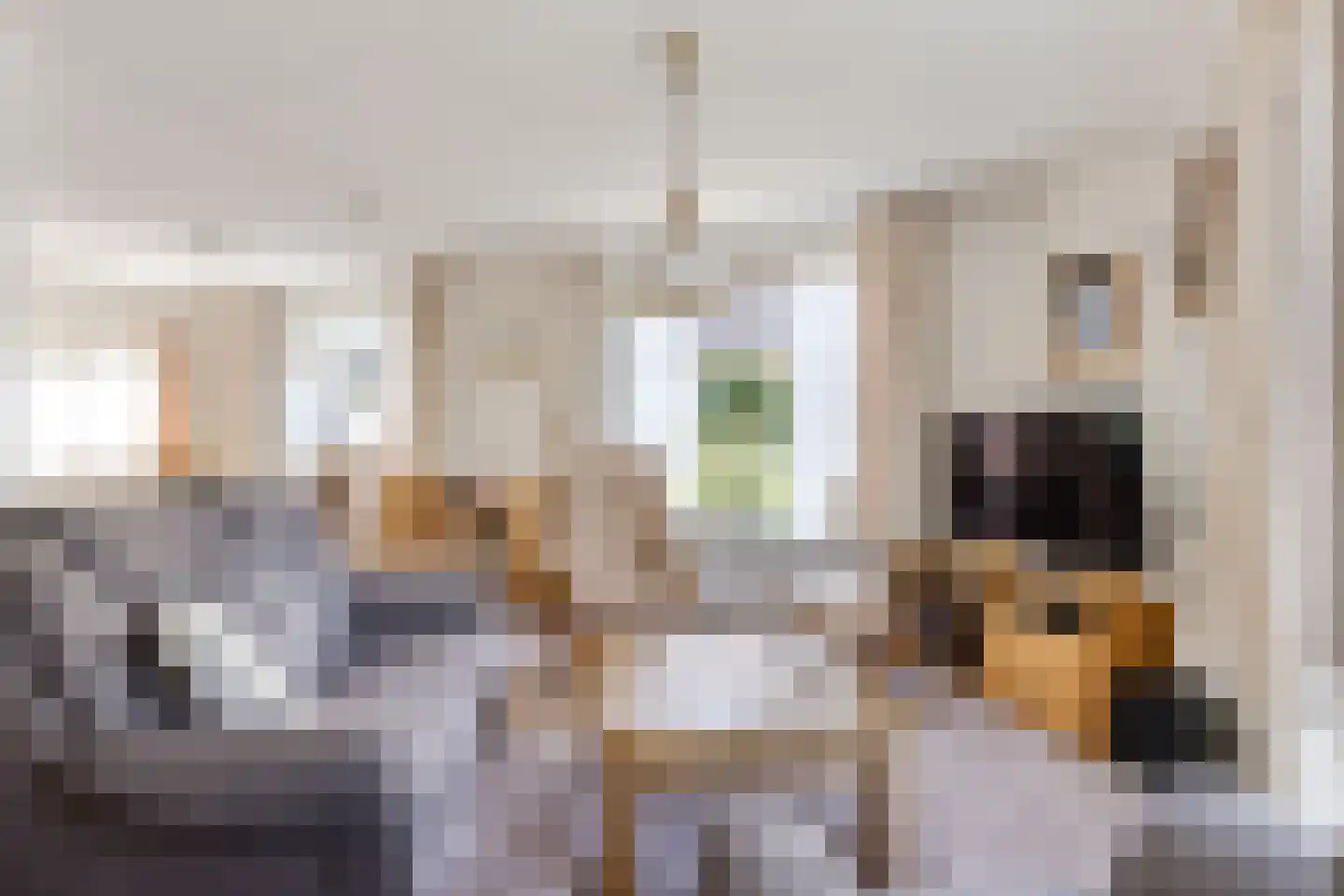 Ids de Beerstrjitte 1 Nes thumbnail 8