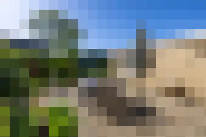 Ids de Beerstrjitte 5 Nes thumbnail 19