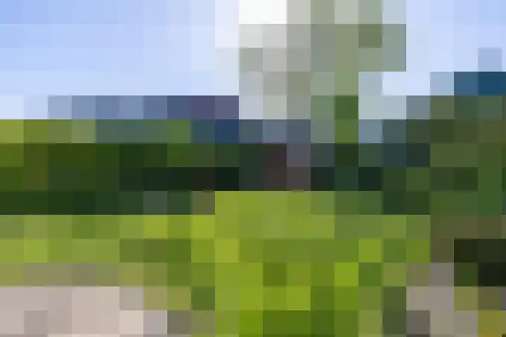 Ids de Beerstrjitte 5 Nes thumbnail 21