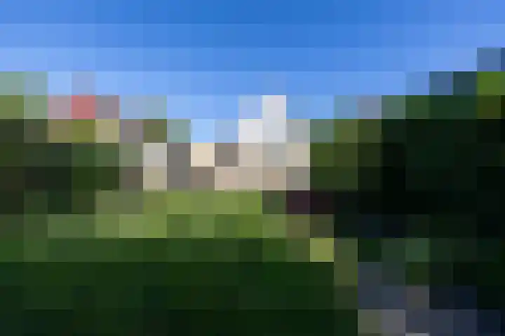 Ids de Beerstrjitte 5 Nes thumbnail 23