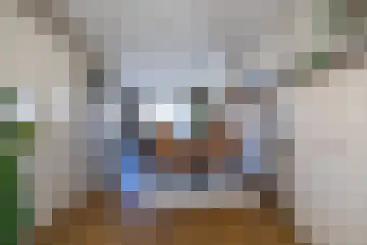 Ids de Beerstrjitte 5 Nes thumbnail 30