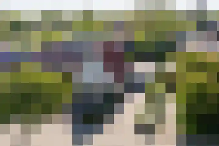 Ids de Beerstrjitte 5 Nes thumbnail 4