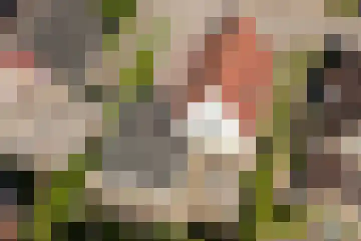 Ids de Beerstrjitte 5 Nes thumbnail 6