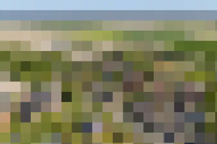 Ids de Beerstrjitte 5 Nes thumbnail 7