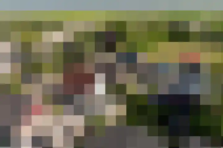 Ids de Beerstrjitte 5 Nes thumbnail 8
