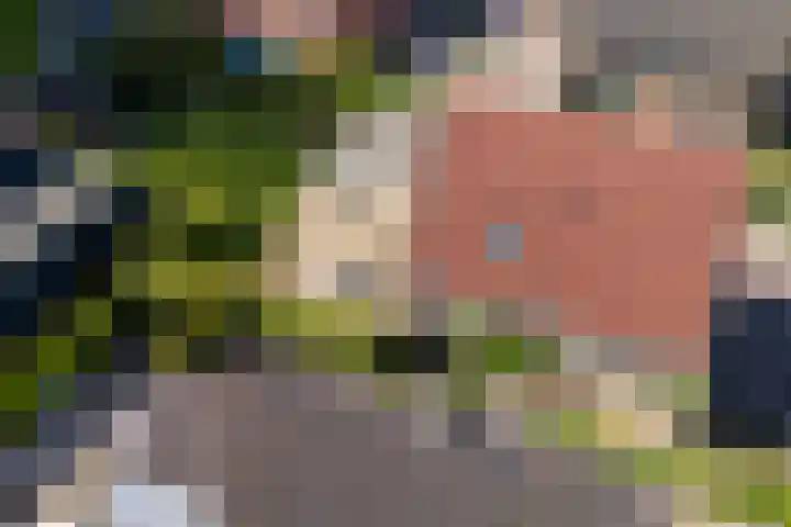 Ids de Beerstrjitte 5 Nes thumbnail 9