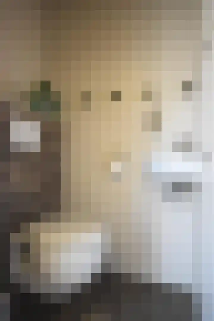 Idsingha 9 Feanwâlden thumbnail 14
