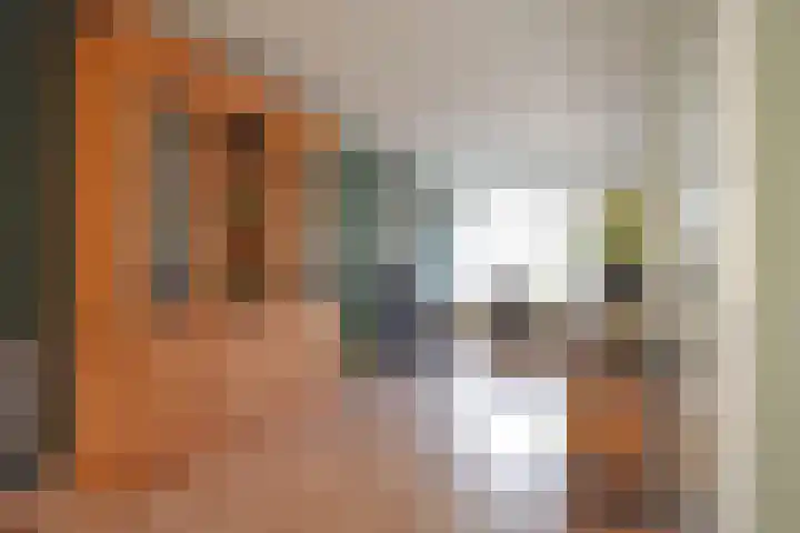 Idsingha 9 Feanwâlden thumbnail 16